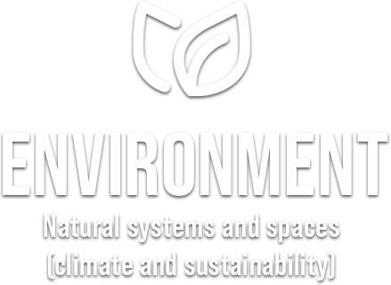 Icon of leaves with text: ENVIRONMENT Natural systems and spaces (climate and sustainability)