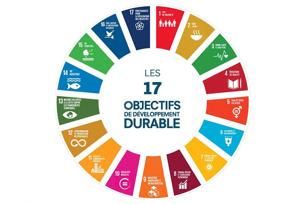 Un diagramme circulaire coloré montrant les 17 objectifs de développement durable des Nations unies avec les icônes correspondantes.